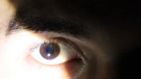Brown Human Eyes Focus 動画素材 114645344