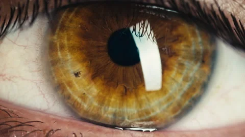 Brown iris eye close up Stock Footage 219798536