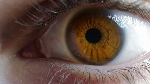 Brown Iris Pattern Eye Closeup Caucasian Male Stock Footage 84666635