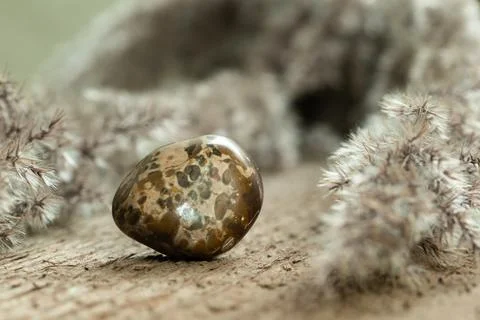 Brown Jasper Tumbled Gem Stone on Wood Stock Photos