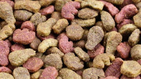 Brown kibble pieces of dry cat food circle rotation close up 스톡 동영상 232667730