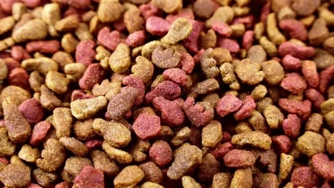 Brown kibble pieces of dry cat food falling down with circle rotation close up Stock Footage 233034794