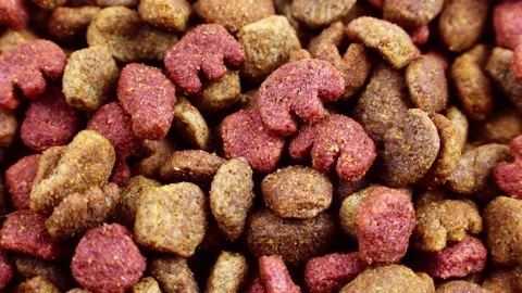 Brown kibble pieces of dry cat food falling down with circle rotation close up Stock Footage 233098742