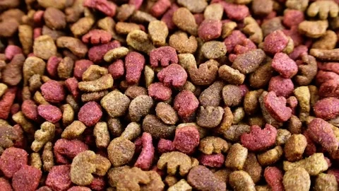Brown kibble pieces of dry cat food circle rotation close up Stock Footage 233996821
