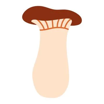 Brown king oyster mushroom vector isolated on white. Essential design element Illustrazione stock