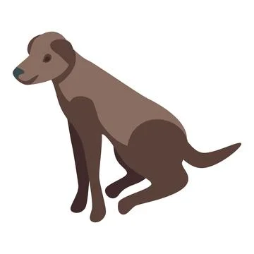 Brown labrador retriever sitting posing for portrait Stock-Illustration