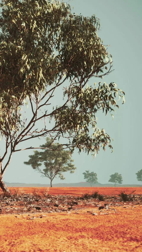 Brown land with trees in a dry area under blue sky Stock Footage 346758830