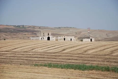 Brown Landscape Stock Photos