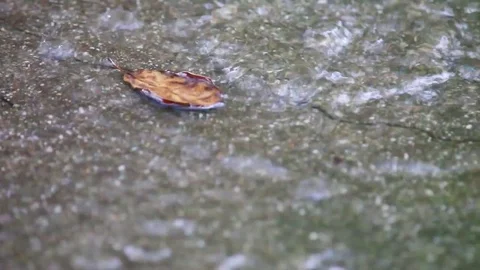 Brown leaf moves along a wet patio Stock Footage 76089235