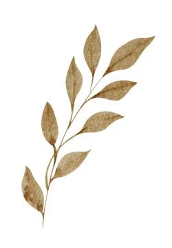 Brown leaf watercolor on white background Illustrazione stock