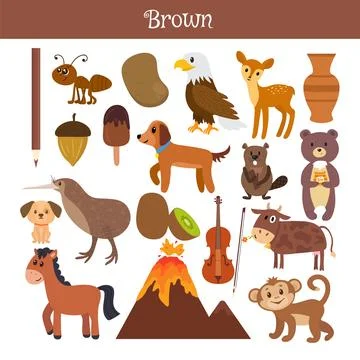 Brown. Learn the color. Education set. Illustration of primary colors Stock Illustration