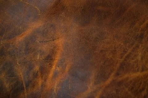 Brown leather background. Leather texture. Premium quality. Stock Photos
