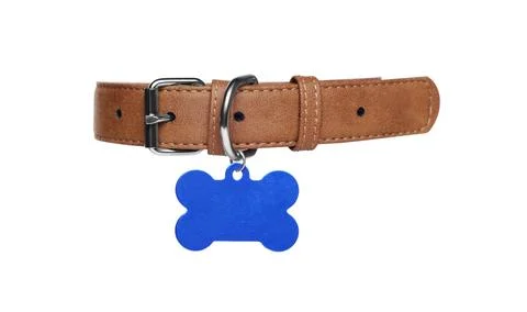 Brown leather dog collar with bone shaped tag isolated on white Stock Photos