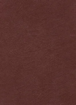 Brown leather Stock Photos