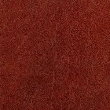 Brown leather Stock Photos