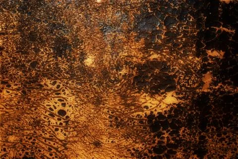 Brown leather Stock Photos