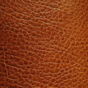 Brown leather Stock Photos