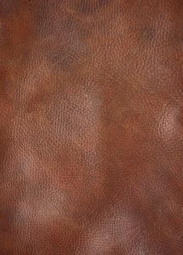 Brown leather Stock Photos