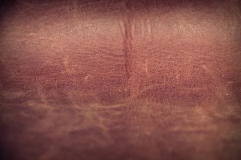 Brown leather Stock Photos