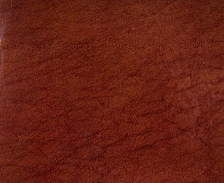 Brown leather  Stock Photos