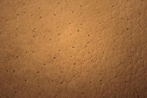 Brown leather Stock Photos