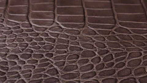 A brown leather sheet with the pattern of a crocodile, rotating 360 degrees Stock Footage 261455728