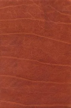 Brown leather surface Stock Photos
