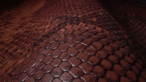 Brown leather texture and background. Exotic skins in Fashion and Clothing 動画素材 169205188