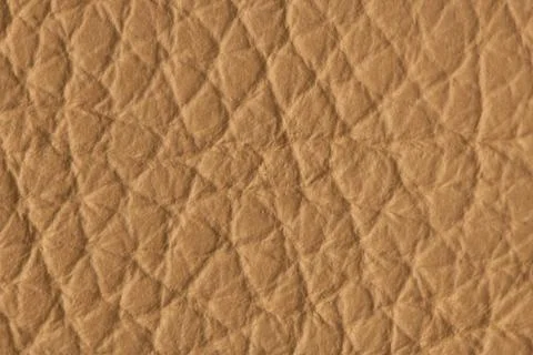 Brown leather texture background with fine grain and natural pattern Stock Photos
