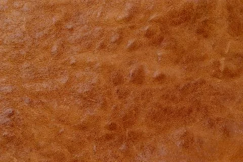Brown leather texture background Stock Photos