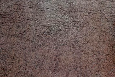 Brown leather texture Stock Photos