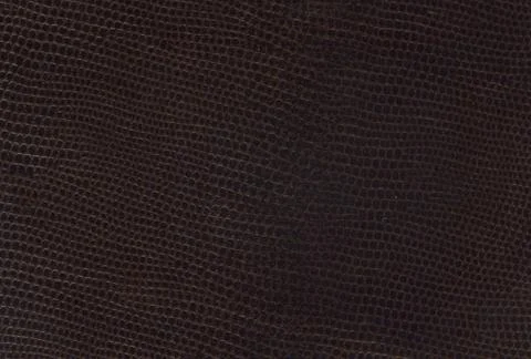 Brown leather texture Stock Photos