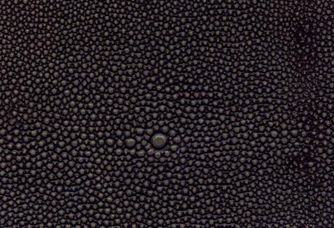 Brown leather texture Stock Photos