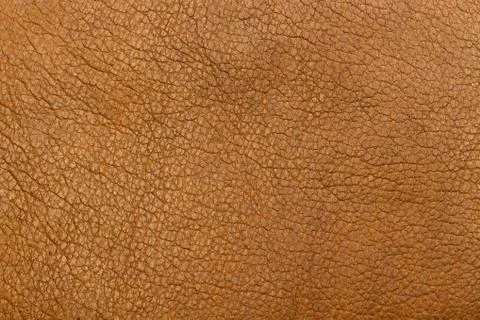 Brown   leather texture Stock Photos