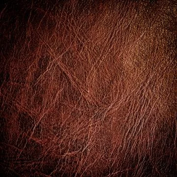 Brown leather texture with space for text Stock Photos