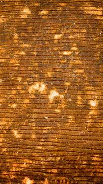 Brown leather with visible details. background or texture Stock Photos
