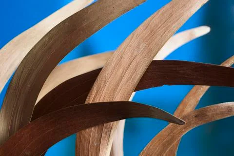 Brown leaves on blue Stock Photos