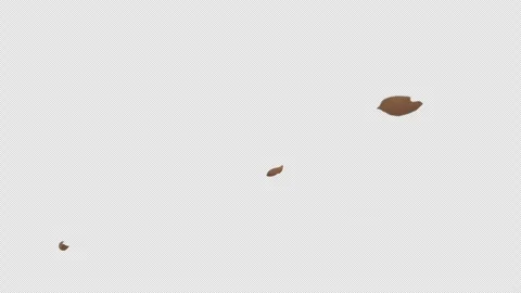 Brown leaves flowing in the wind - 2D animation with an alpha channel Stock Footage 262046433