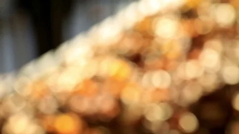 Brown leaves on the ground Stock Footage 81471524