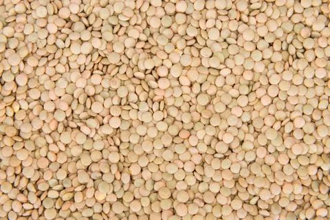 Brown lentils backgorund Stock Photos