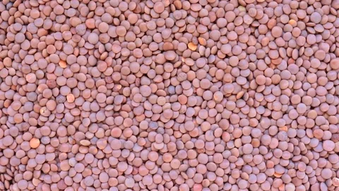 Brown lentils rotation texture background, vegetable protein source fo Stock Footage 106843187