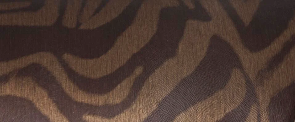 BROWN LEOPARD TEXTURE BACKGROUND FOR GRAPHIC DESIGN Stock Photos