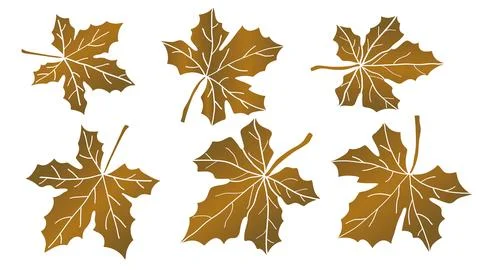Brown maple leaf fall autumn flat collection. Nature vector illustration. Illustrazione stock
