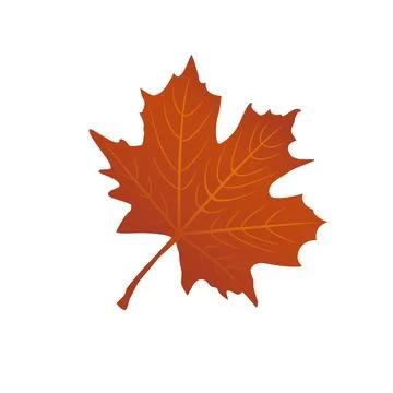 Brown Maple Leaf Icon Vector Illustration Stock Illustration