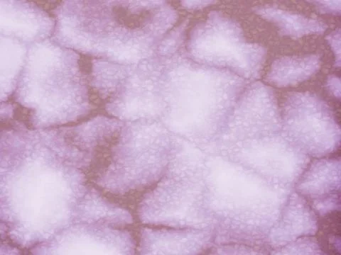 Brown marble texture natural pattern for background, 3d Illustrazione stock