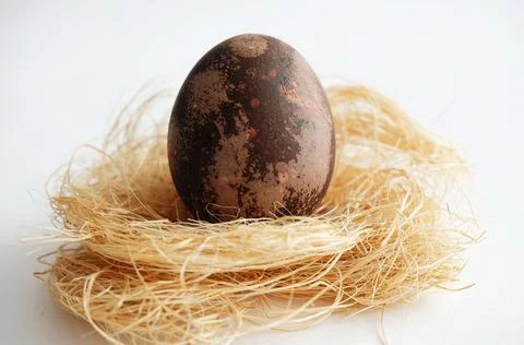Brown marbled Easter dyed egg on coconut fiber on a white background close up Stock Photos