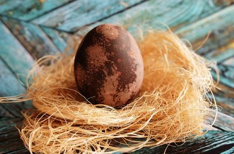 Brown marbled Easter dyed egg on coconut fiber on a turquoise wood background Foto stock