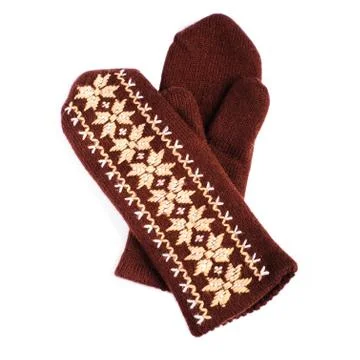 Brown mittens Stock Photos