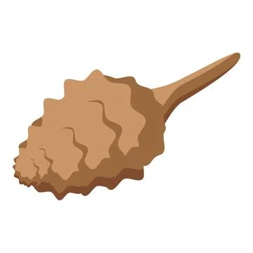 Brown mollusc shell lying with wavy relief pattern on its surface Stock Illustration