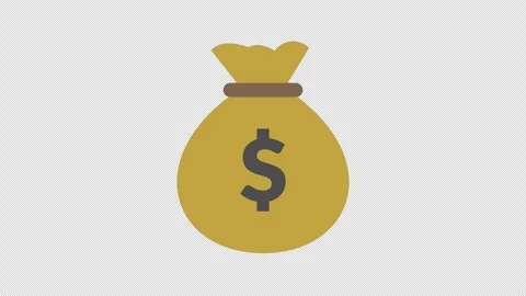 Brown money bag Stock Footage 333831023